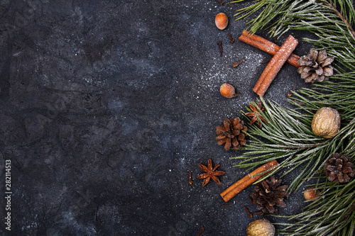 Beautiful Christmas Background with copy space for your text. Pine branch, cones, cinnamon, nuts covered with snow