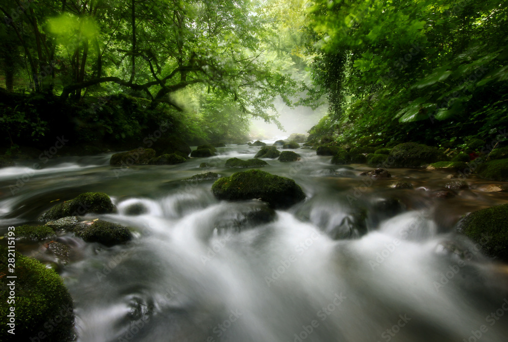 landscape with the flow of a mountain river against a misty forest landscape with the flow of a mountain river against a misty forest