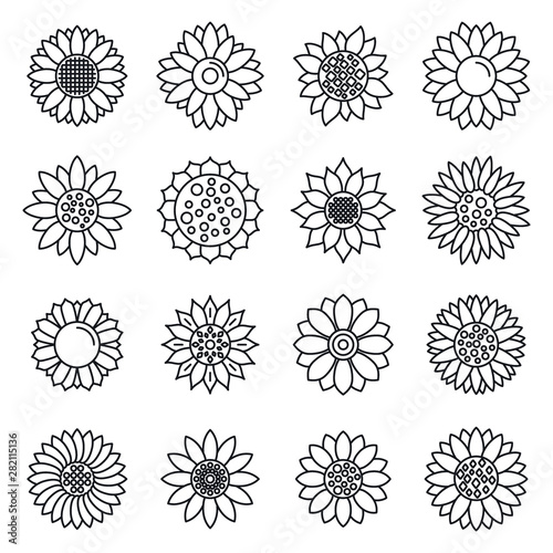Botanical sunflower icons set. Outline set of botanical sunflower vector icons for web design isolated on white background