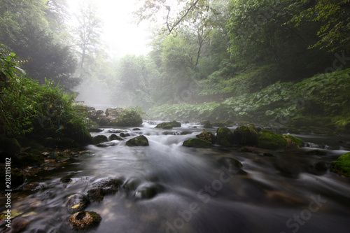 landscape with the flow of a mountain river against a misty forest