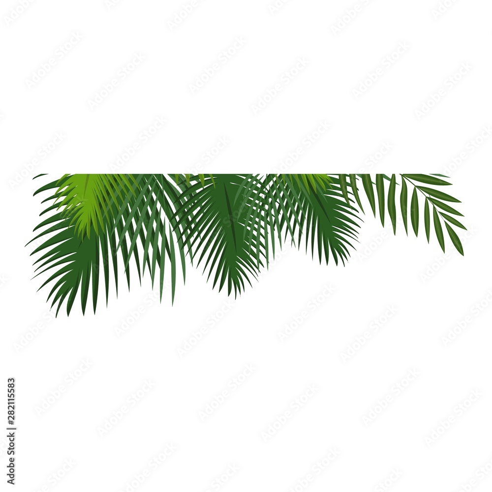 Tropical leaf icon. Cartoon of tropical leaf vector icon for web design isolated on white background