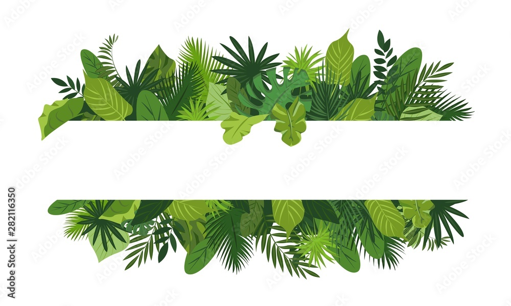 Fototapeta Transparent koncepcja tropikalnych liści. Kreskówki ilustracja tropikalnych liści pojęcia wektorowy sztandar dla sieć projekta
