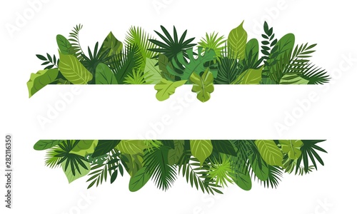 Tropical leafs concept banner. Cartoon illustration of tropical leafs vector concept banner for web design