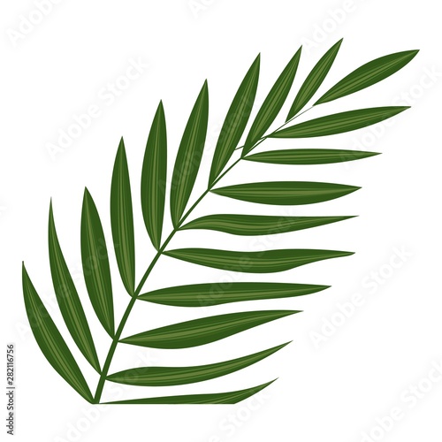 Fern frond leaf icon. Cartoon of fern frond leaf vector icon for web design isolated on white background