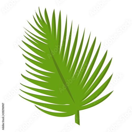 Green palm leaf icon. Cartoon of green palm leaf vector icon for web design isolated on white background
