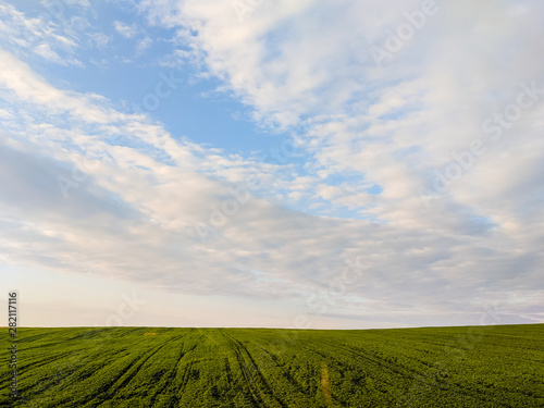 Agriculture fields in the summer season