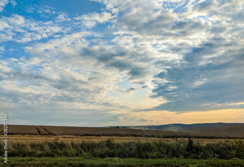 Agriculture fields in the summer season