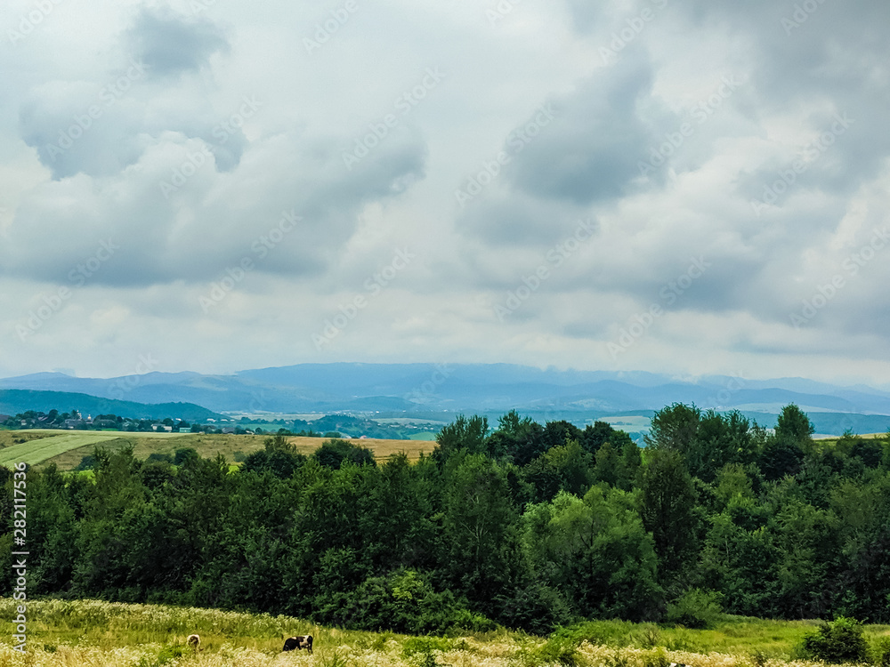 Carpathian hills during the rain with dramatic clouds Carpathian hills during the rain with dramatic clouds