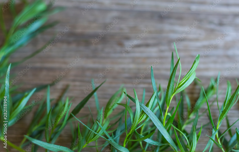 flat lay ,tarragon grass on wooden background with soft focus and copy space flat lay ,tarragon grass on wooden background with soft focus and copy space