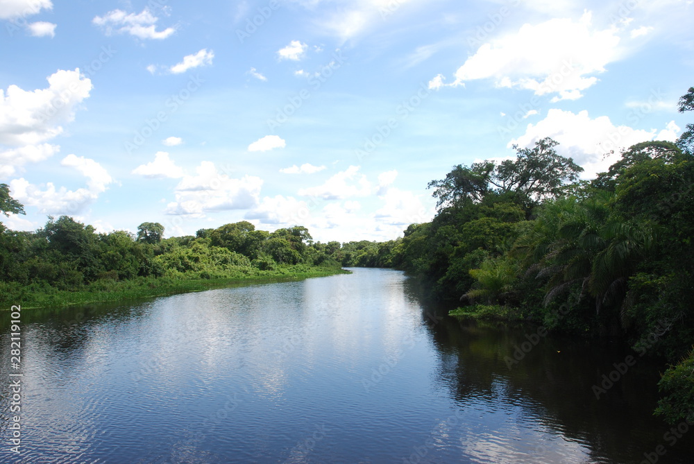 lake in Pantanal - MS - Brazil