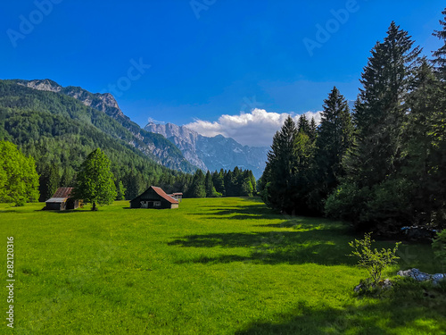 Colorful summer landscape in Slovenia