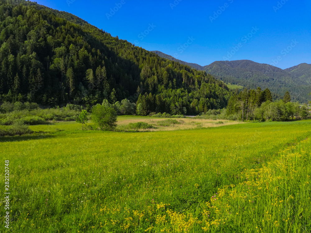 Beautiful Slovenian landscape of meadow and mountains in the Alps.