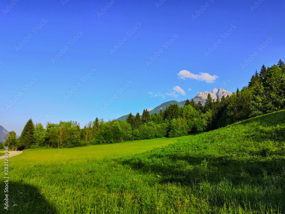 Beautiful Slovenian landscape of meadow and mountains in the Alps.