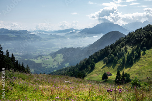 Beautiful Bavarian landscape, green meadows, flowers, mountains and foggy valley at summer day