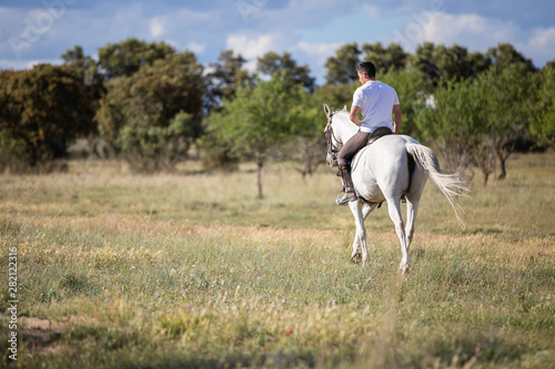 Young guy in casual outfit riding white horse on meadow a sunny day 