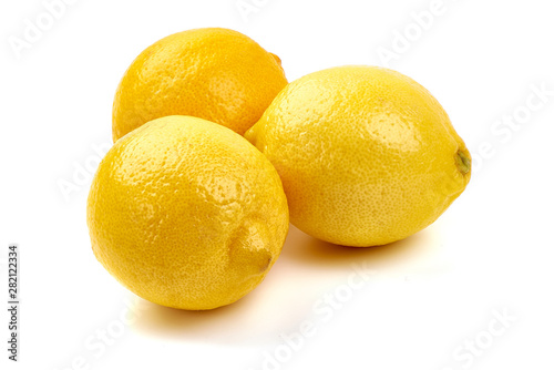 Lemon Citrus Fruit, isolated on white background