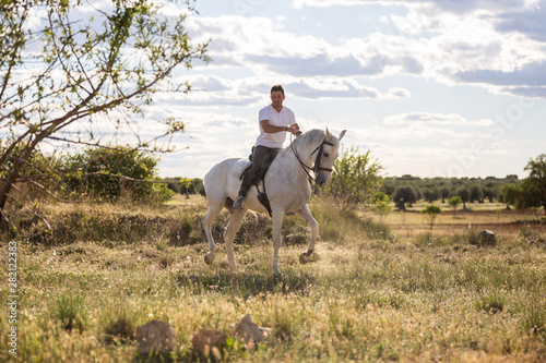 Young guy in casual outfit riding white horse on meadow a sunny day 