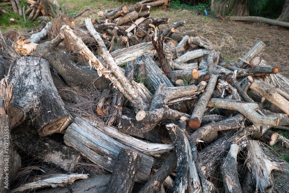 pile of wood logs pile of wood logs