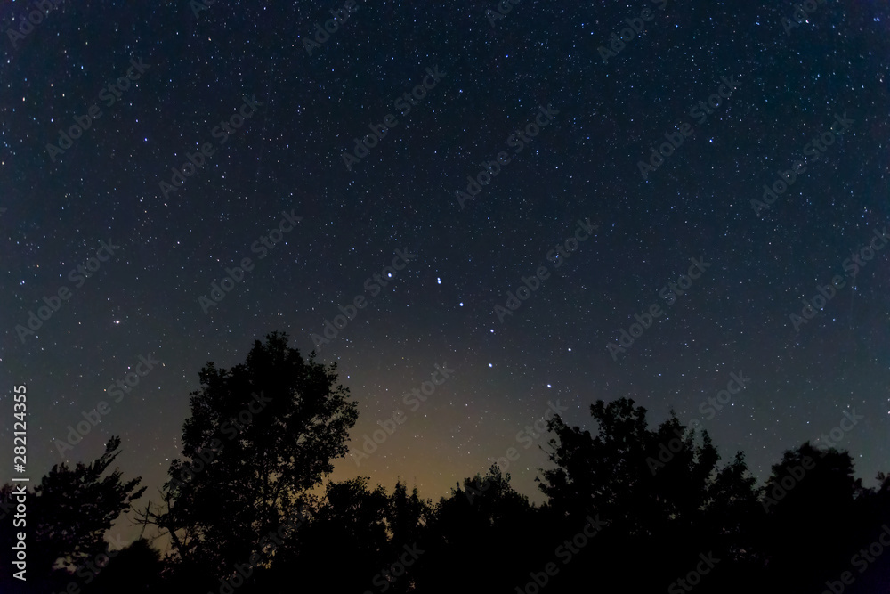 night forest silhouette under a night starry sky and Ursa Major constellation