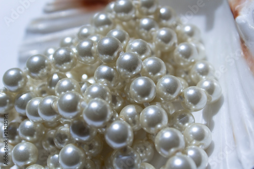 close up white shiny pearls luxury necklace on shell background