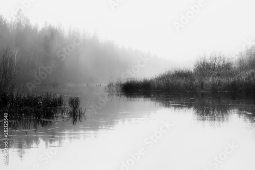  Fog on the lake