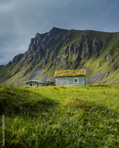  Sheeps in meadow on green grass in background typical Norwegian house. House with grass on the roof. Beautiful colored. Located near Hoyvika beach in Norway, Lofoten islands photo