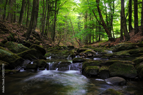 Picturesque mountain stream in a deep spring forest - Magurski National Park in Carpathian Mountain Range in Poland.