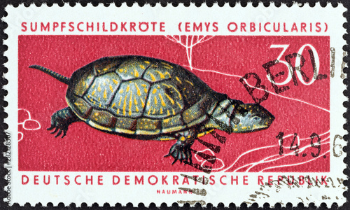 European pond tortoise (German Democratic Republic 1963)
