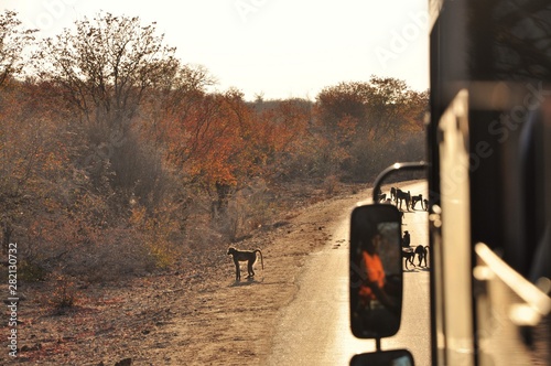 African Road