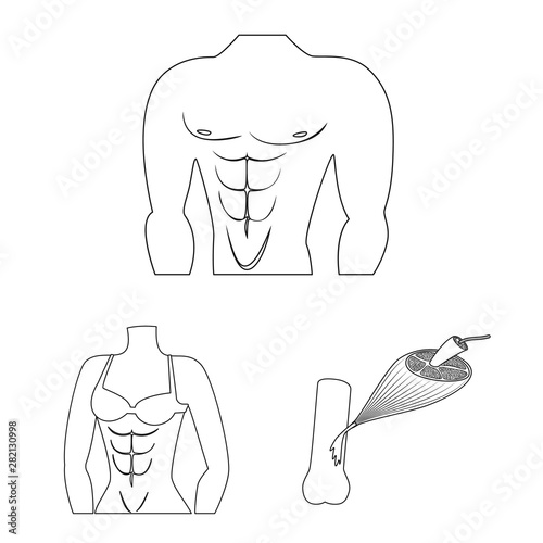 Vector illustration of fiber and muscular logo. Collection of fiber and body stock vector illustration.