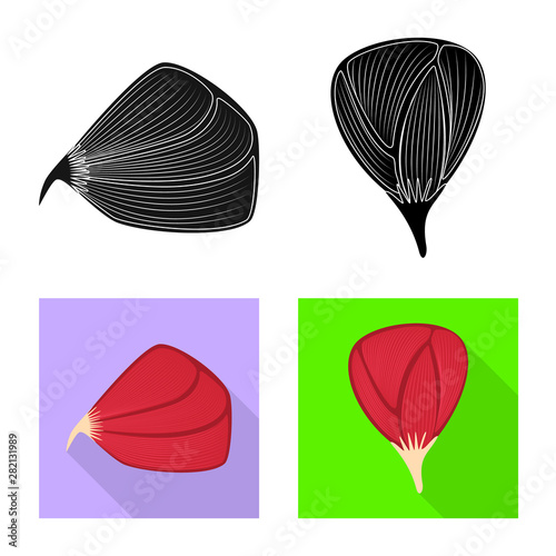 Vector design of fiber and muscular logo. Collection of fiber and body stock symbol for web.