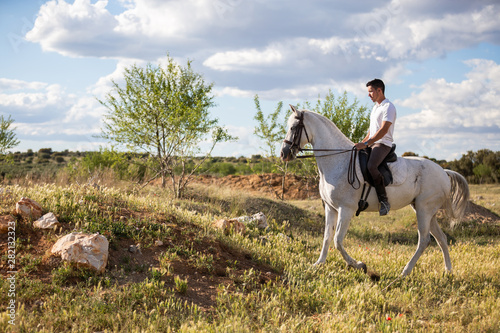 Young male in casual outfit riding white horse on grassy meadow a sunny day © pablobenii
