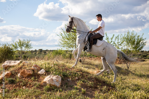 Young male in casual outfit riding white horse on grassy meadow a sunny day © pablobenii
