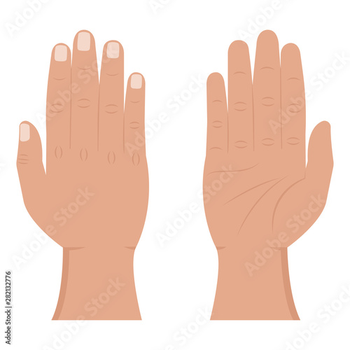 Hand view from the inside and outside flat icons. Male palm, fingers and wrist. Human upper limb vector illustration on a white background