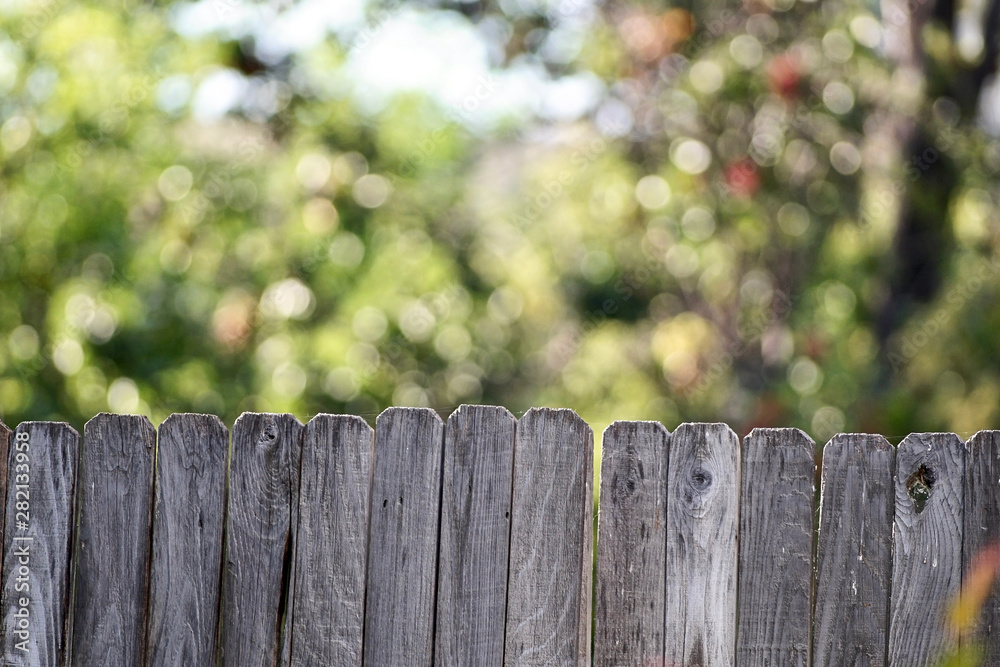 Fence wood and nature tree background 