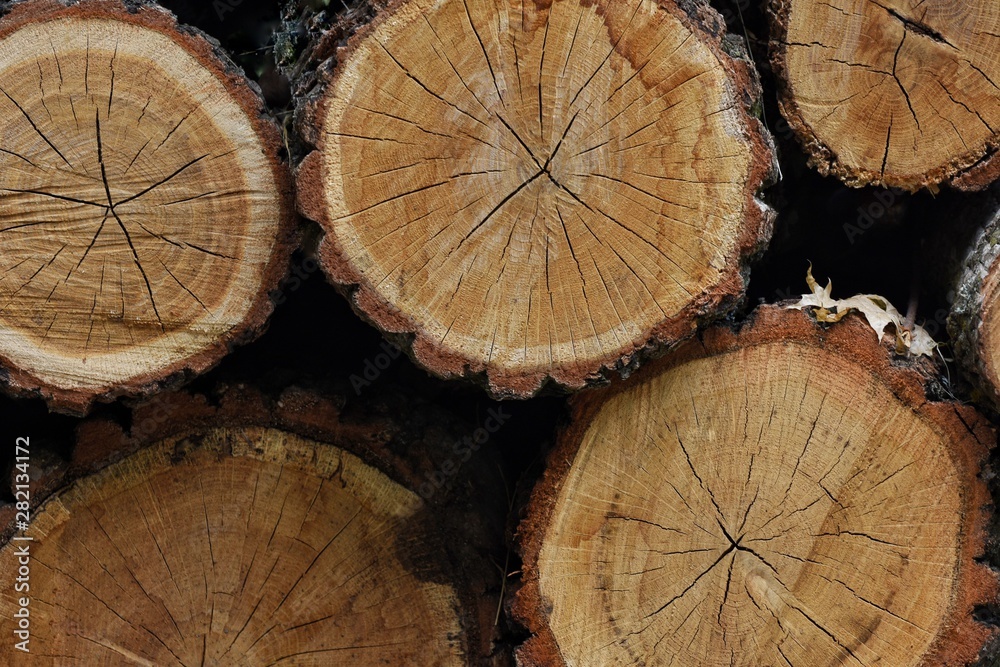 Naklejka premium Dry logs are piled in a heap. Firewood for heating village houses.