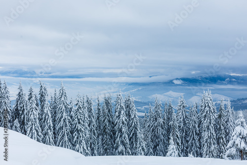 Winter in mountains, winter mountain landscape