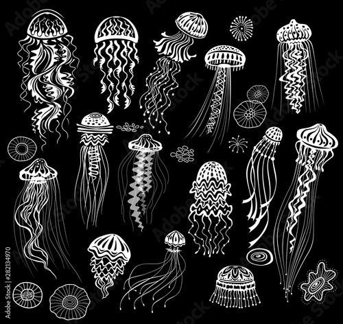 Set of decorated Jellyfishes black white sketch illustration