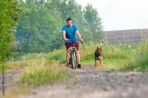 View on a dog and a man on a bike while training a german shepherd dog