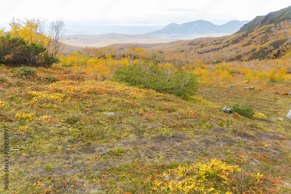 Naklejka premium Beautiful autumn landscape in mountains in Kamchatka