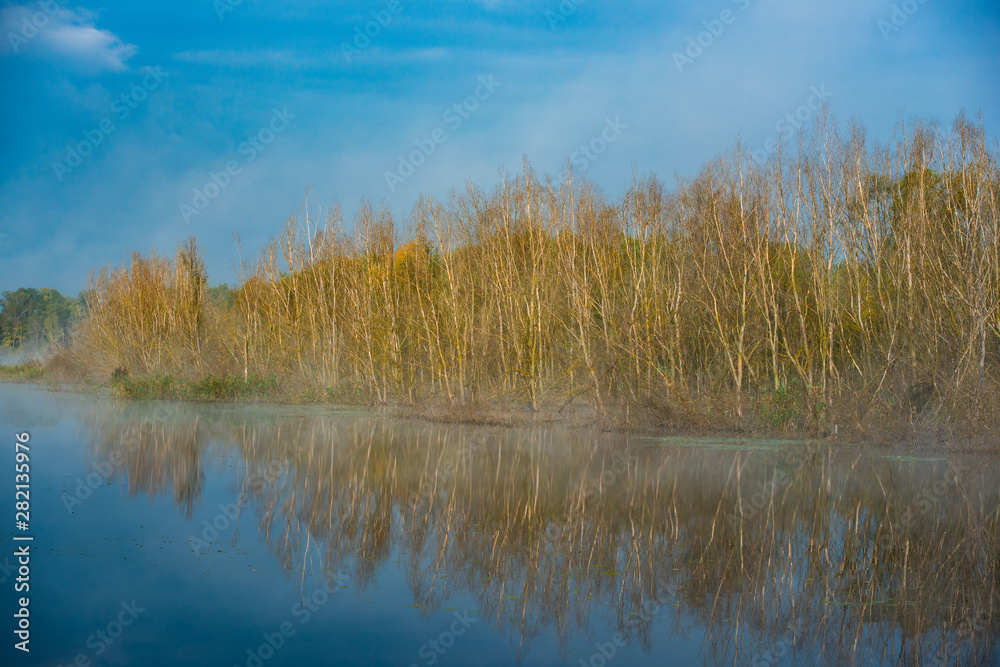 Deciduous forest on the banks of the river in the mist in the early morning.