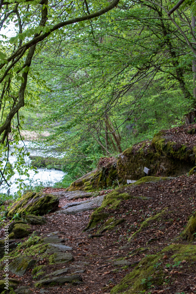 Obraz premium Nationalpark Thayatal in Austria