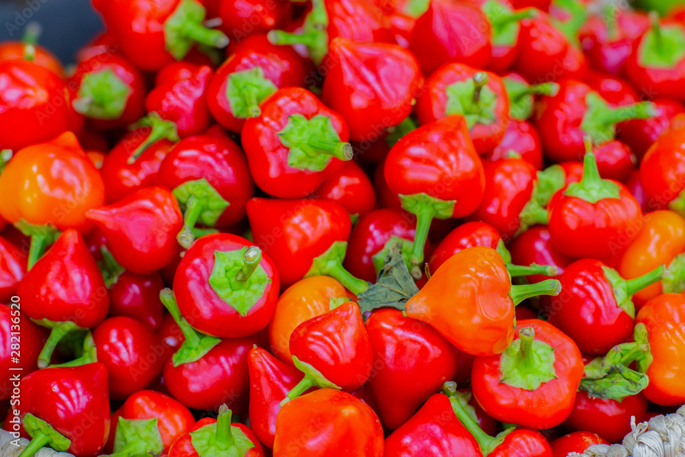 Fresh ripe cherry ball pepper, pimento or red sweet chilli peppers set