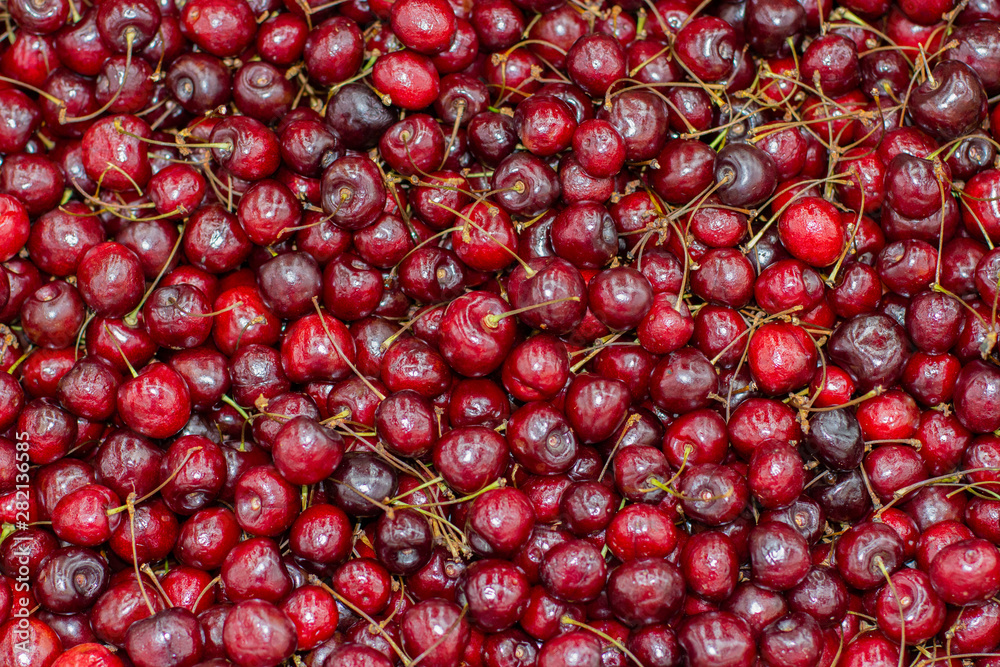 Ripe red cherry, many berries Ripe red cherry, many berries