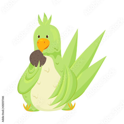 Fototapeta Naklejka Na Ścianę i Meble -  Cute adorable green parrot is eating a chocolate cookie