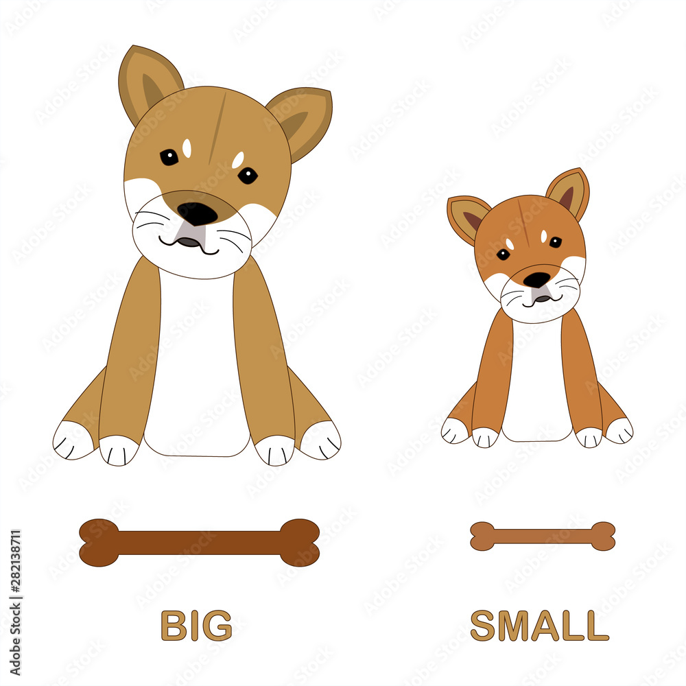 Cartoon characters of Shiba dogs. Children's card for the study of  opposites and antonyms, foreign languages. Isolated cute dog on a white  background. Big and small. Vector. Stock Vector | Adobe Stock