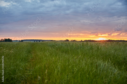 sunset over green field © imagemanufaktur
