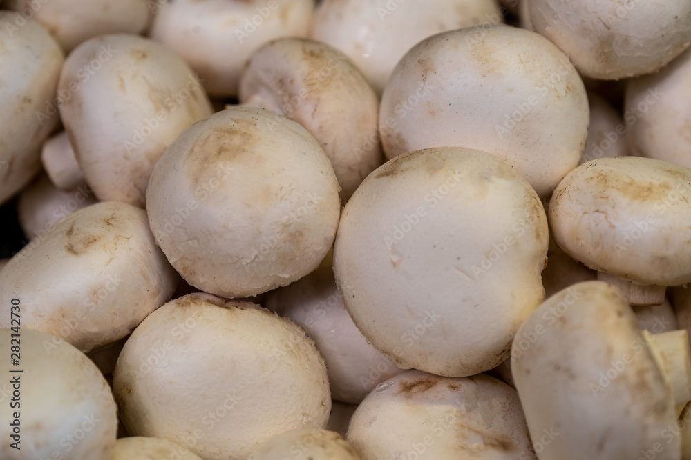 Counter with mushrooms in the store, white champignons in the supermarket. Counter with mushrooms in the store, white champignons in the supermarket.