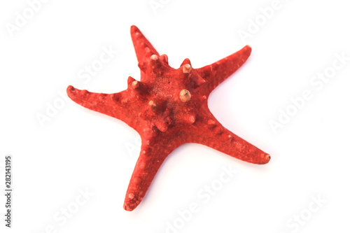 Red sea star isolated on white background