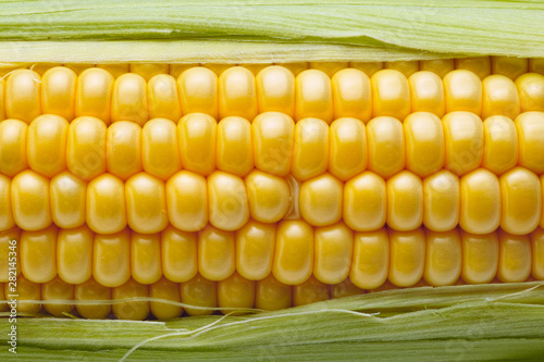 Organic corn closeup